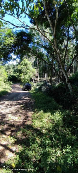 Rolante- Sítios 3.000 m² no Caminho das Pipas Morro Grande: 10ª foto da galeria de imagens do imóvel