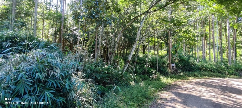 Rolante- Sítios 3.000 m² no Caminho das Pipas Morro Grande: 9ª foto da galeria de imagens do imóvel