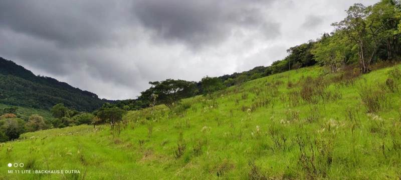Mascarada- 60 Hectares Para Agricultura e Pecuária: 2ª foto da galeria de imagens do imóvel