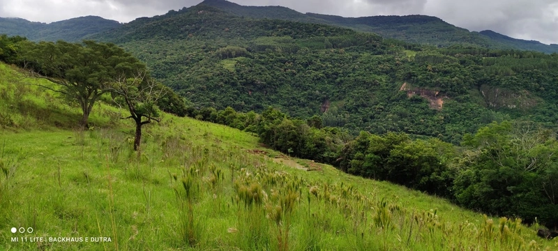Mascarada- 60 Hectares Para Agricultura e Pecuária: 5ª foto da galeria de imagens do imóvel