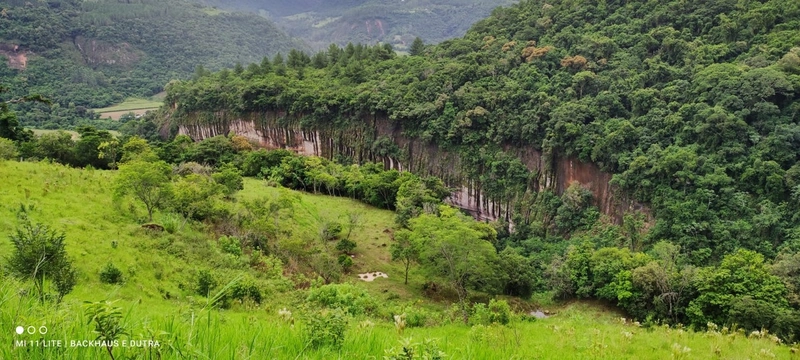 Mascarada- 60 Hectares Para Agricultura e Pecuária: 8ª foto da galeria de imagens do imóvel