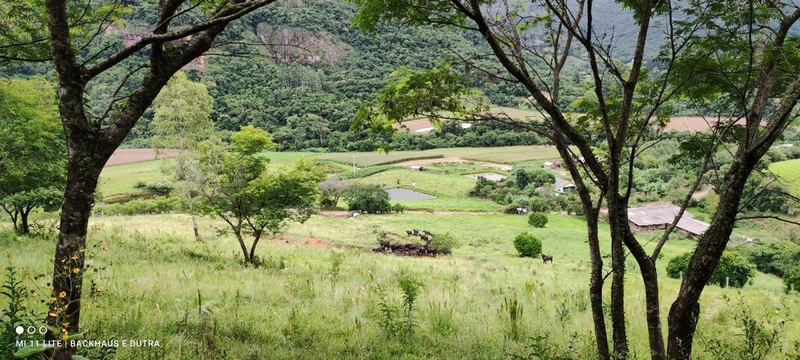 Mascarada- 60 Hectares Para Agricultura e Pecuária: 12ª foto da galeria de imagens do imóvel