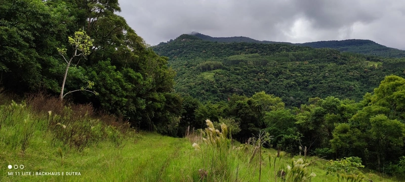 Mascarada- 60 Hectares Para Agricultura e Pecuária: 6ª foto da galeria de imagens do imóvel