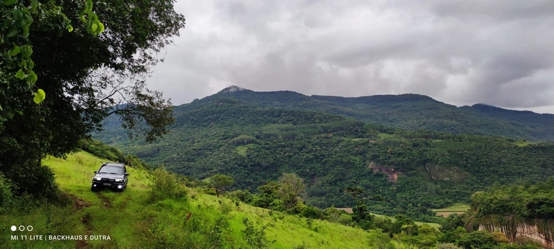 Mascarada- 60 Hectares Para Agricultura e Pecuária: 10ª foto da galeria de imagens do imóvel