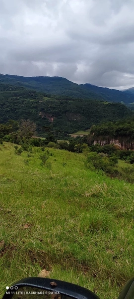 Mascarada- 60 Hectares Para Agricultura e Pecuária: 15ª foto da galeria de imagens do imóvel