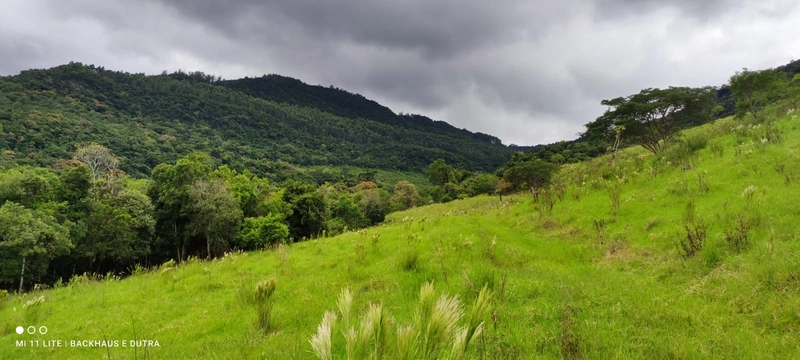Mascarada- 60 Hectares Para Agricultura e Pecuária: 4ª foto da galeria de imagens do imóvel