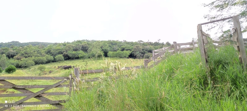 Mascarada- 60 Hectares Para Agricultura e Pecuária: 7ª foto da galeria de imagens do imóvel