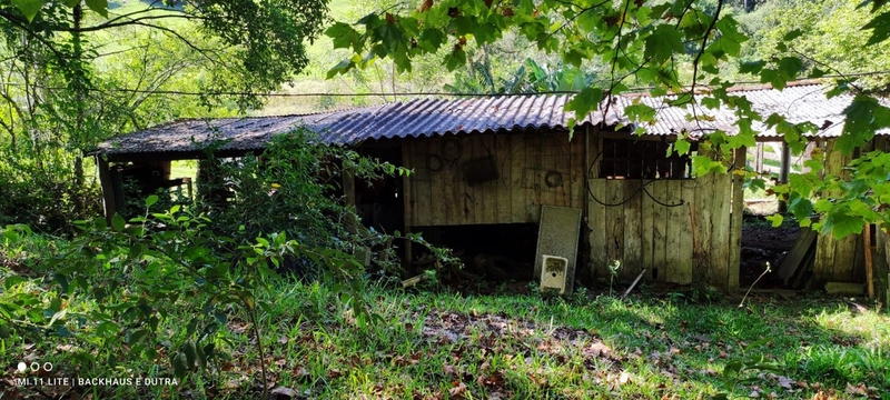 Rolante- 3 Hectares com casa Campinas (LInha Mergener): 5ª foto da galeria de imagens do imóvel