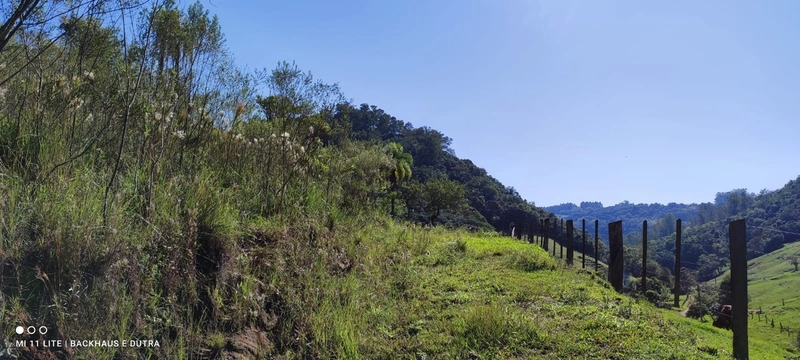 Rolante- 3 Hectares com casa Campinas (LInha Mergener): 12ª foto da galeria de imagens do imóvel
