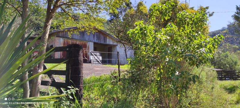 Rolante- 3 Hectares com casa Campinas (LInha Mergener): 4ª foto da galeria de imagens do imóvel