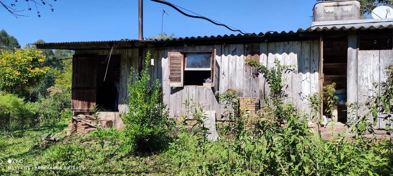 Rolante- 3 Hectares com casa Campinas (LInha Mergener): 7ª foto da galeria de imagens do imóvel