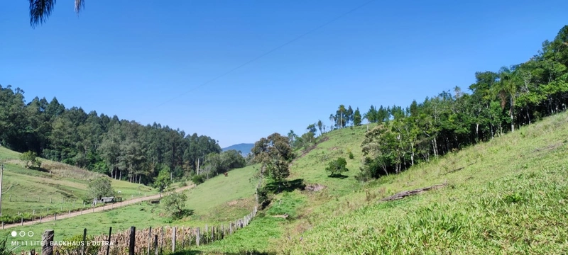 Rolante- 3 Hectares com casa Campinas (LInha Mergener): 11ª foto da galeria de imagens do imóvel