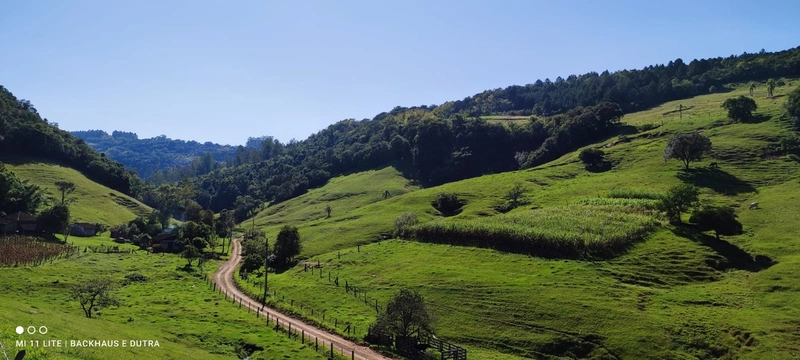 Rolante- 3.3 Hectares Com vertentes Campinas: 6ª foto da galeria de imagens do imóvel