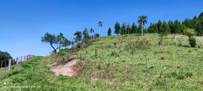 Rolante- 3.3 Hectares Com vertentes Campinas: 3ª foto da galeria de imagens do imóvel