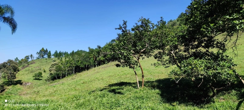 Rolante- 6 Hectares com Arroio Campinas: 1ª foto da galeria de imagens do imóvel