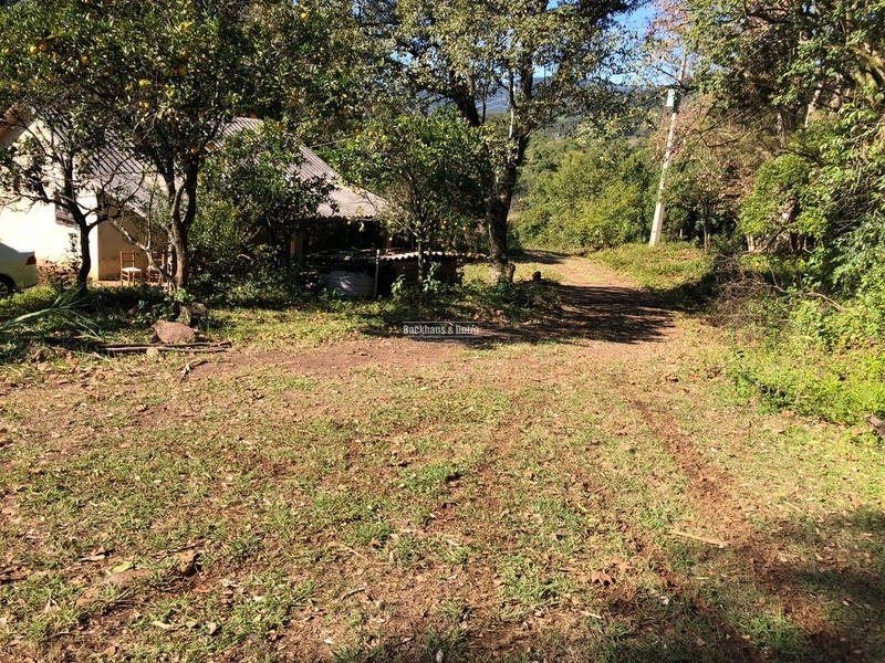 Rolante- 23.47 Hectares com 200 pés de Nozes no Canta Galo: 1ª foto da galeria de imagens do imóvel