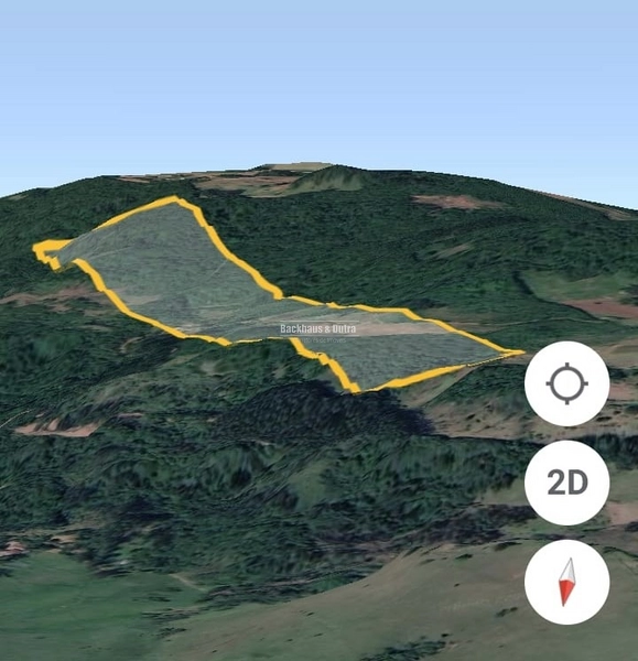 Rolante- 23.47 Hectares com 200 pés de Nozes no Canta Galo: 18ª foto da galeria de imagens do imóvel