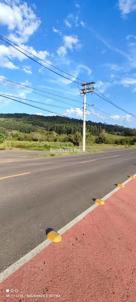 Rolante- Terreno de 5.000 m² com rede Trífásica em frente- Centro: 19ª foto da galeria de imagens do imóvel