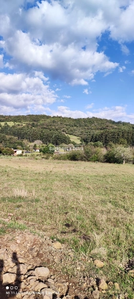 Rolante- Terreno de 5.000 m² com rede Trífásica em frente- Centro: 10ª foto da galeria de imagens do imóvel