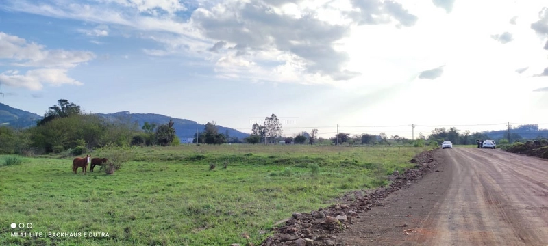 Rolante- Terreno de 5.000 m² com rede Trífásica em frente- Centro: 1ª foto da galeria de imagens do imóvel