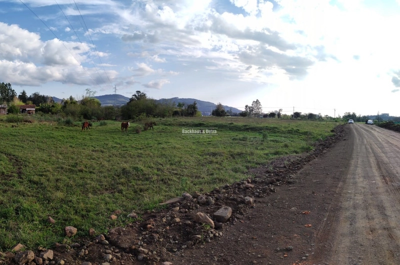 Rolante- Terreno de 5.000 m² com rede Trífásica em frente- Centro: 6ª foto da galeria de imagens do imóvel