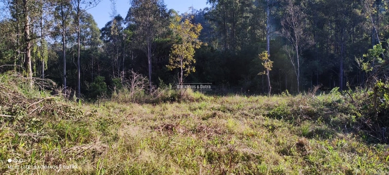 Rolante- Chácaras a partir de 5.600 m² no Alto Rolante: 8ª foto da galeria de imagens do imóvel