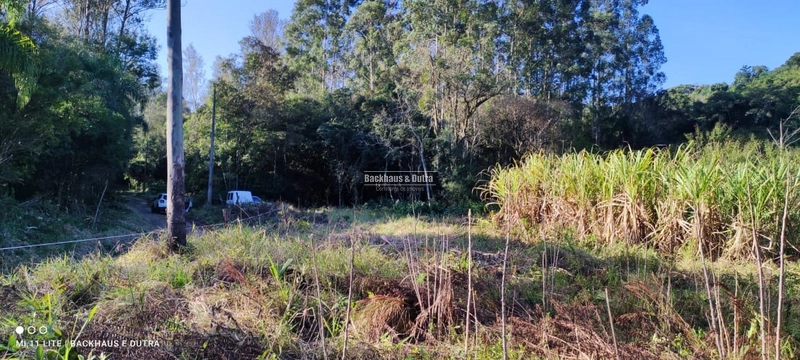 Rolante- Chácaras a partir de 5.600 m² no Alto Rolante: 4ª foto da galeria de imagens do imóvel