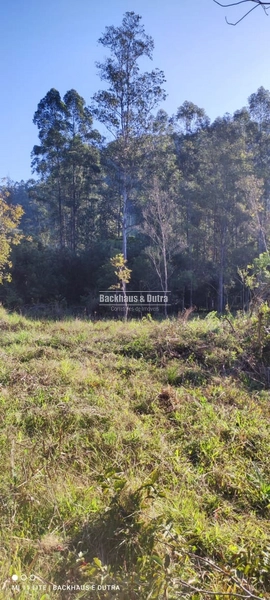 Rolante- Chácaras a partir de 5.600 m² no Alto Rolante: 9ª foto da galeria de imagens do imóvel