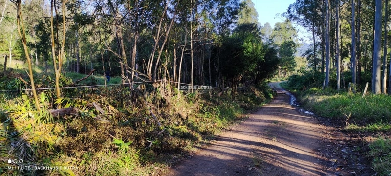 Rolante- Chácaras a partir de 5.600 m² no Alto Rolante: 6ª foto da galeria de imagens do imóvel