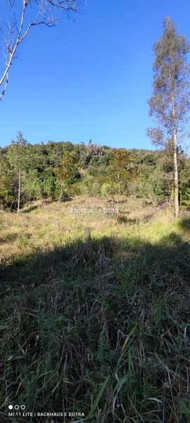 Rolante- Chácaras a partir de 5.600 m² no Alto Rolante: 10ª foto da galeria de imagens do imóvel
