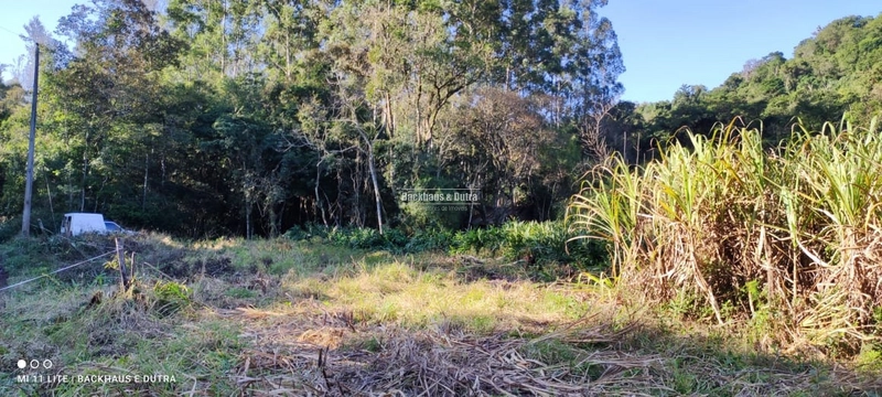 Rolante- Chácaras a partir de 5.600 m² no Alto Rolante: 2ª foto da galeria de imagens do imóvel