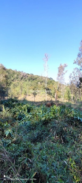 Rolante- Chácaras a partir de 5.600 m² no Alto Rolante: 5ª foto da galeria de imagens do imóvel