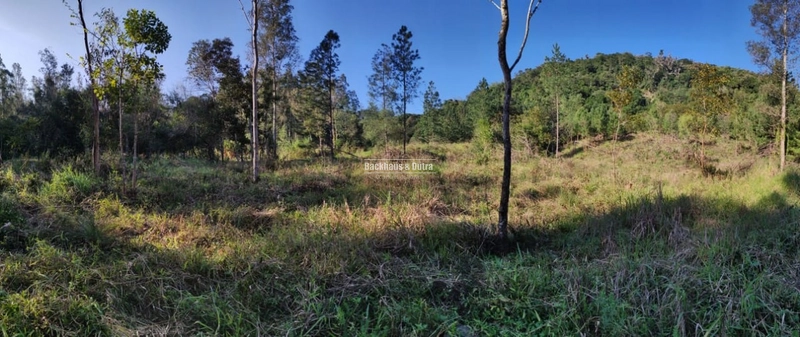 Rolante- Chácaras a partir de 5.600 m² no Alto Rolante: 1ª foto da galeria de imagens do imóvel
