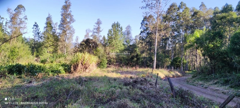 Rolante- Chácaras a partir de 5.600 m² no Alto Rolante: 3ª foto da galeria de imagens do imóvel