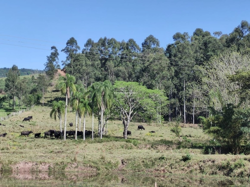 Rolante- 2 Hectares com açudes na Açoita Cavalo: 5ª foto da galeria de imagens do imóvel