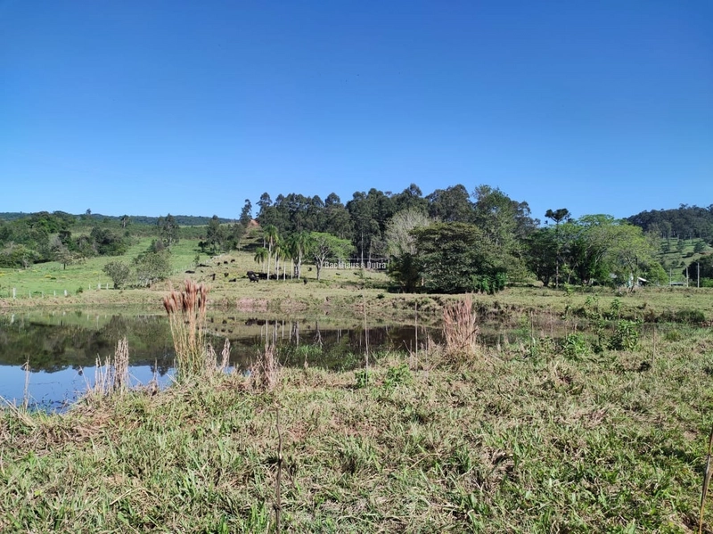 Rolante- 2 Hectares com açudes na Açoita Cavalo: 1ª foto da galeria de imagens do imóvel