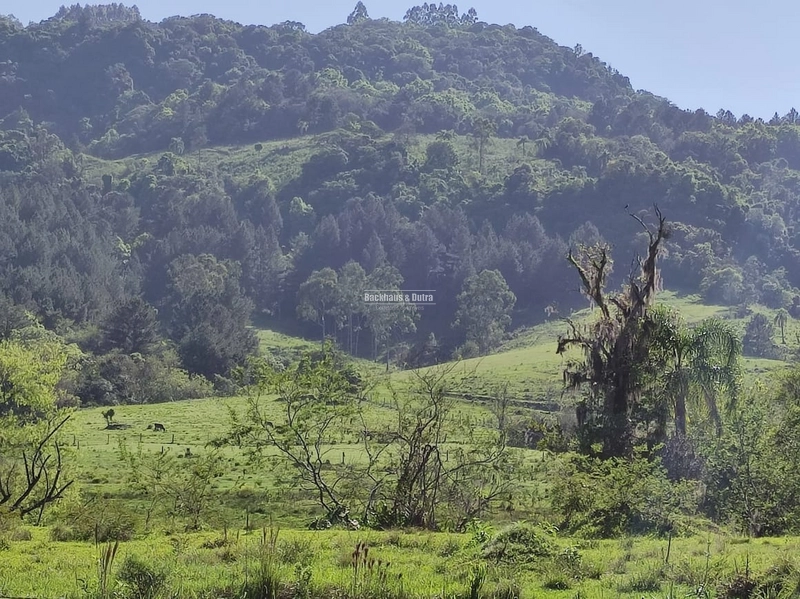 Rolante- 2 Hectares com açudes na Açoita Cavalo: 3ª foto da galeria de imagens do imóvel