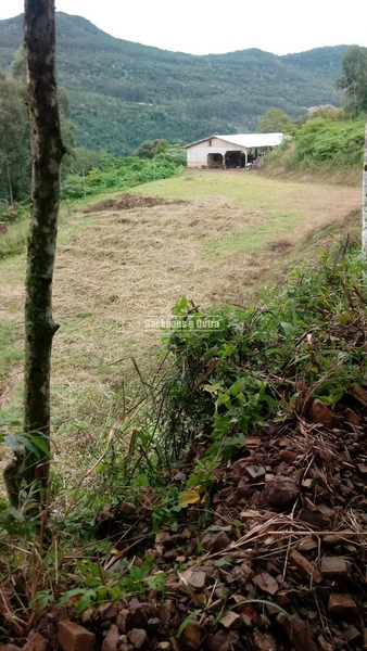 Rolante- 4 Hectares com Casa e Galpão na Mascarada: 3ª foto da galeria de imagens do imóvel