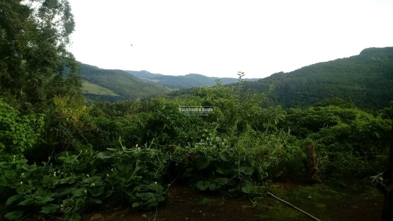 Rolante- 4 Hectares com Casa e Galpão na Mascarada: 21ª foto da galeria de imagens do imóvel
