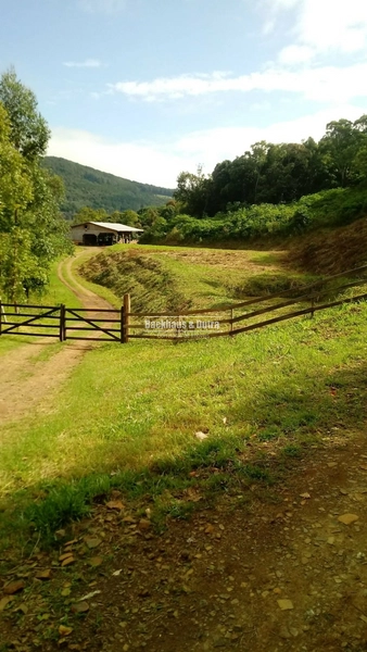 Rolante- 4 Hectares com Casa e Galpão na Mascarada: 2ª foto da galeria de imagens do imóvel