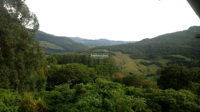 Rolante- 4 Hectares com Casa e Galpão na Mascarada: 11ª foto da galeria de imagens do imóvel