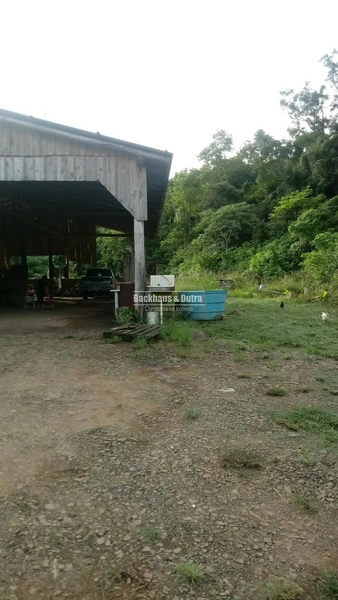 Rolante- 4 Hectares com Casa e Galpão na Mascarada: 20ª foto da galeria de imagens do imóvel