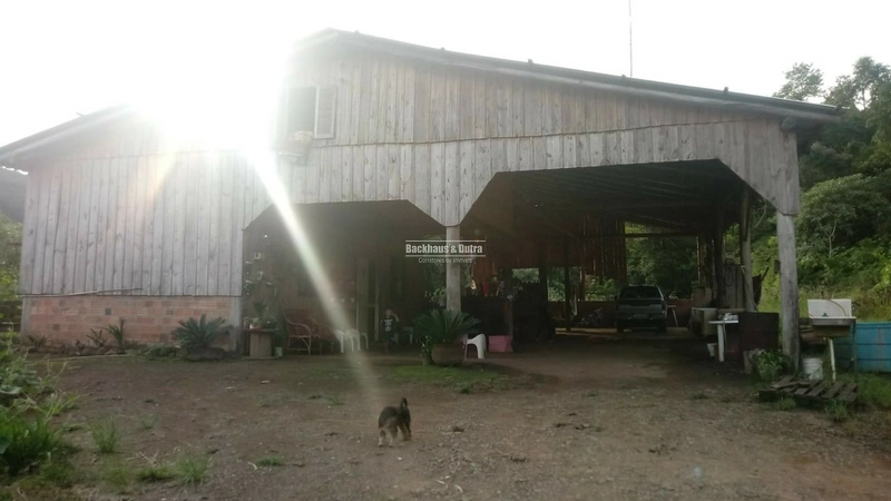 Rolante- 4 Hectares com Casa e Galpão na Mascarada: 1ª foto da galeria de imagens do imóvel