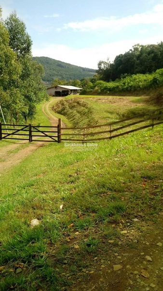 Rolante- 4 Hectares com Casa e Galpão na Mascarada: 5ª foto da galeria de imagens do imóvel