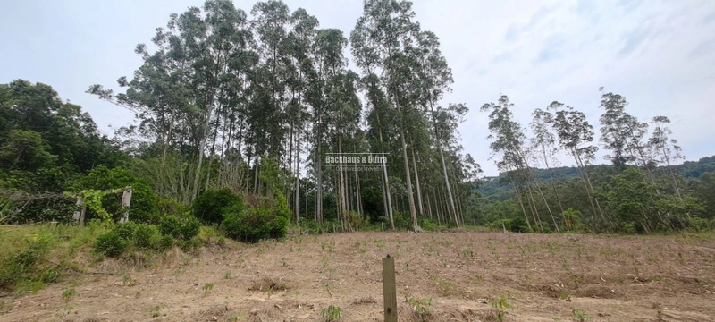 Rolante- chácara com 7 hectares com açudes- Mascarada: 26ª foto da galeria de imagens do imóvel