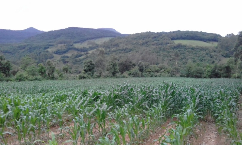 Rolante- chácara com 7 hectares com açudes- Mascarada: 7ª foto da galeria de imagens do imóvel