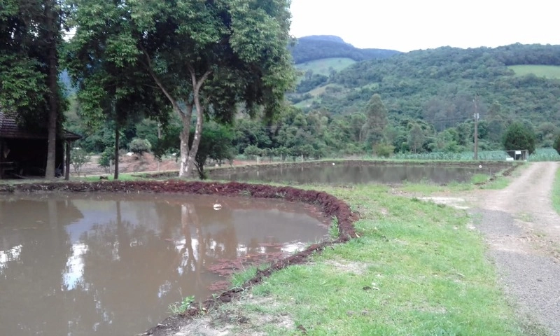 Rolante- chácara com 7 hectares com açudes- Mascarada: 10ª foto da galeria de imagens do imóvel