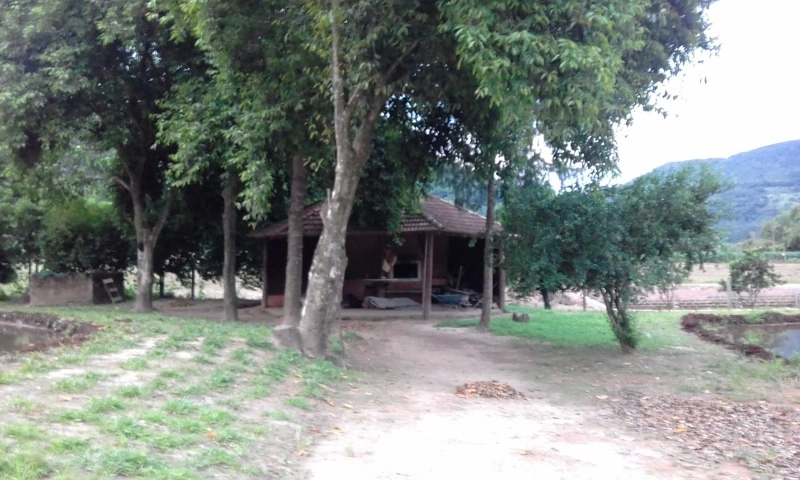 Rolante- chácara com 7 hectares com açudes- Mascarada: 11ª foto da galeria de imagens do imóvel