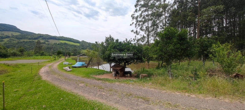 Rolante- chácara com 7 hectares com açudes- Mascarada: 17ª foto da galeria de imagens do imóvel