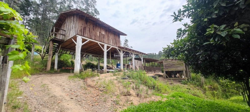 Rolante- chácara com 7 hectares com açudes- Mascarada: 27ª foto da galeria de imagens do imóvel